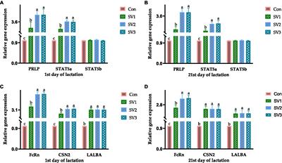 Supplementation of dietary semen vaccariae extracts to lactating sow diets: effects on the production performance, milk components, and gene expression related to mammogenesis